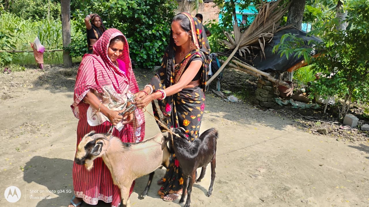 whatsapp image 2025 08 19 at 2.38.02 pm