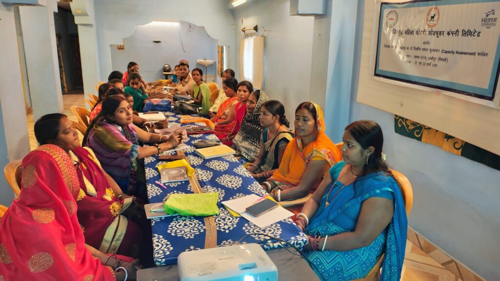 whatsapp image 2025 07 26 at 1.35.28 pm (1)