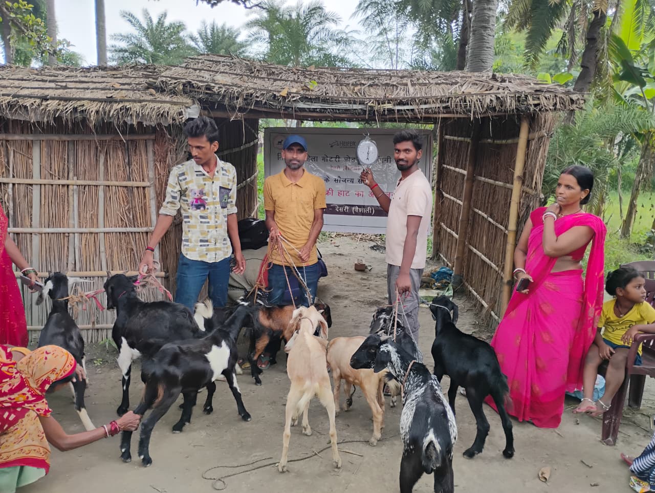 whatsapp image 2025 08 25 at 12.21.51 pm (1)